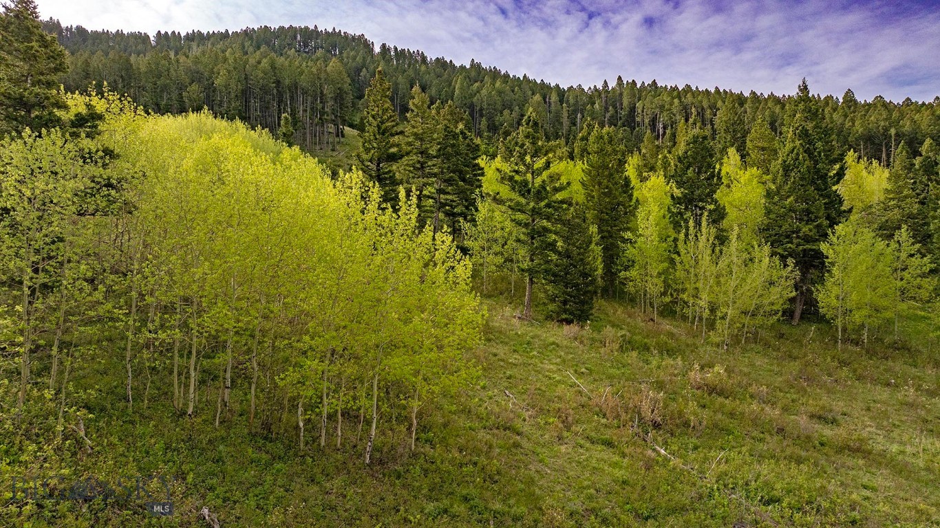 Tbd Petterson Road Property Photo 23