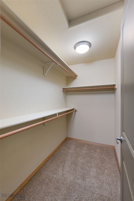 2950 Warbler Way C Property Photo 17