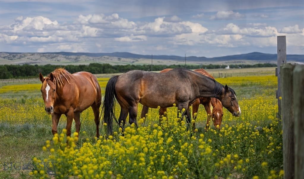 412086 Property Photo 53