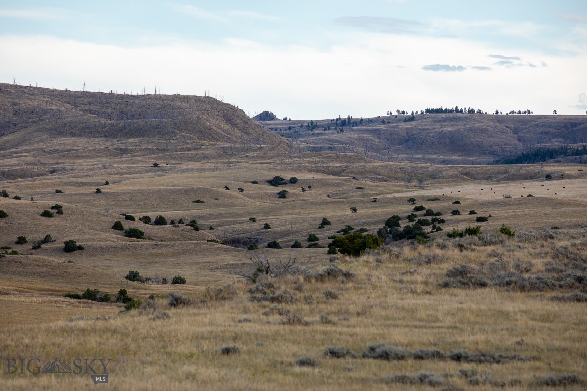 858 Lower Sweet Grass Property Photo 13