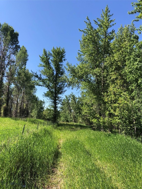 Tbd Indigo Property Photo 3
