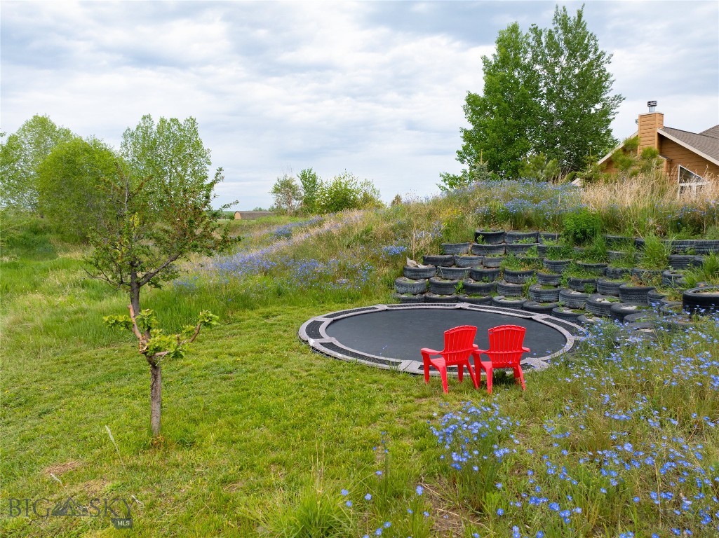 31 Ladybug Property Photo 61