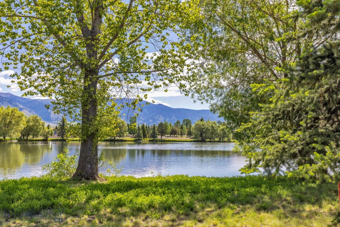 Tbd Bridger Lake Property Photo 15
