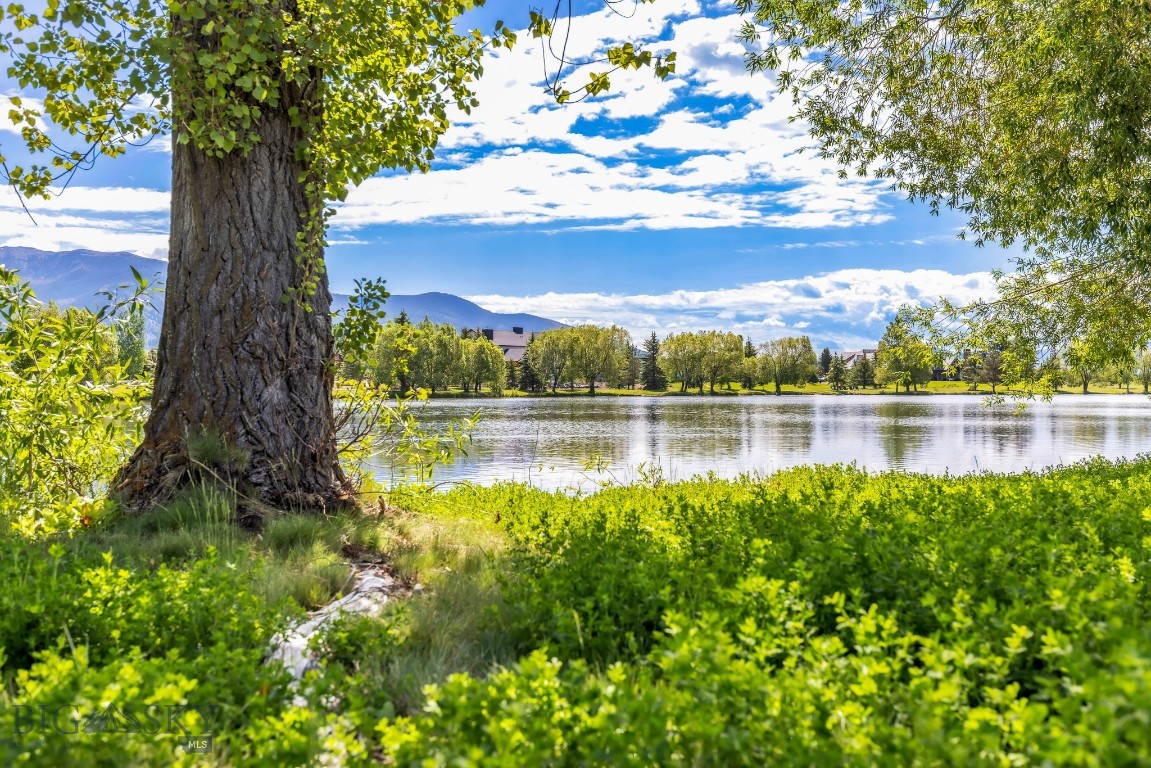 Tbd Bridger Lake Property Photo 16