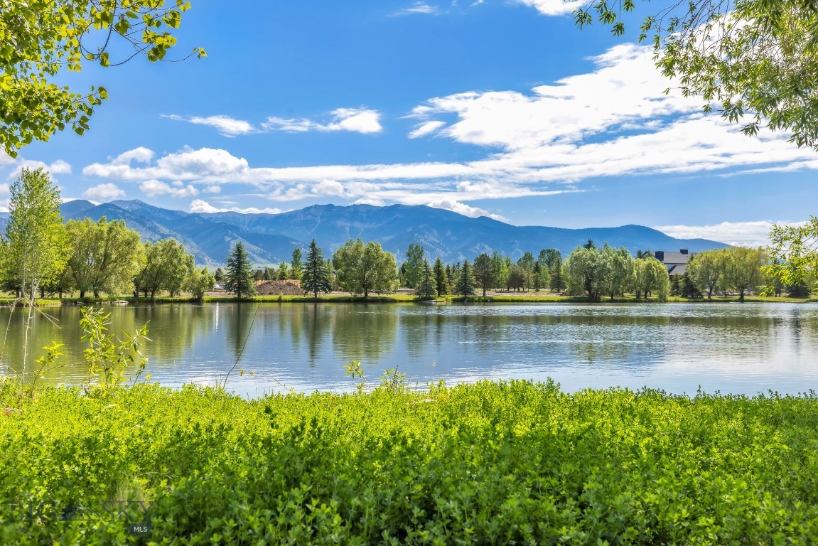 Tbd Bridger Lake Property Photo 22