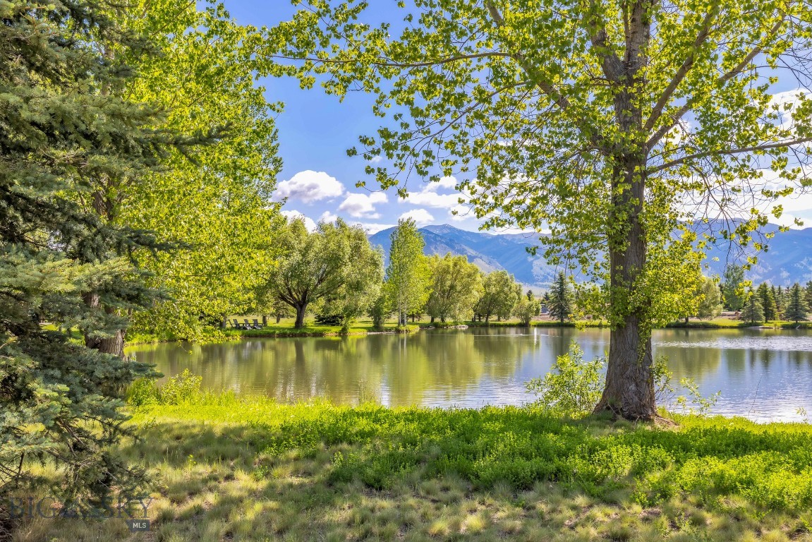Tbd Bridger Lake Property Photo 24
