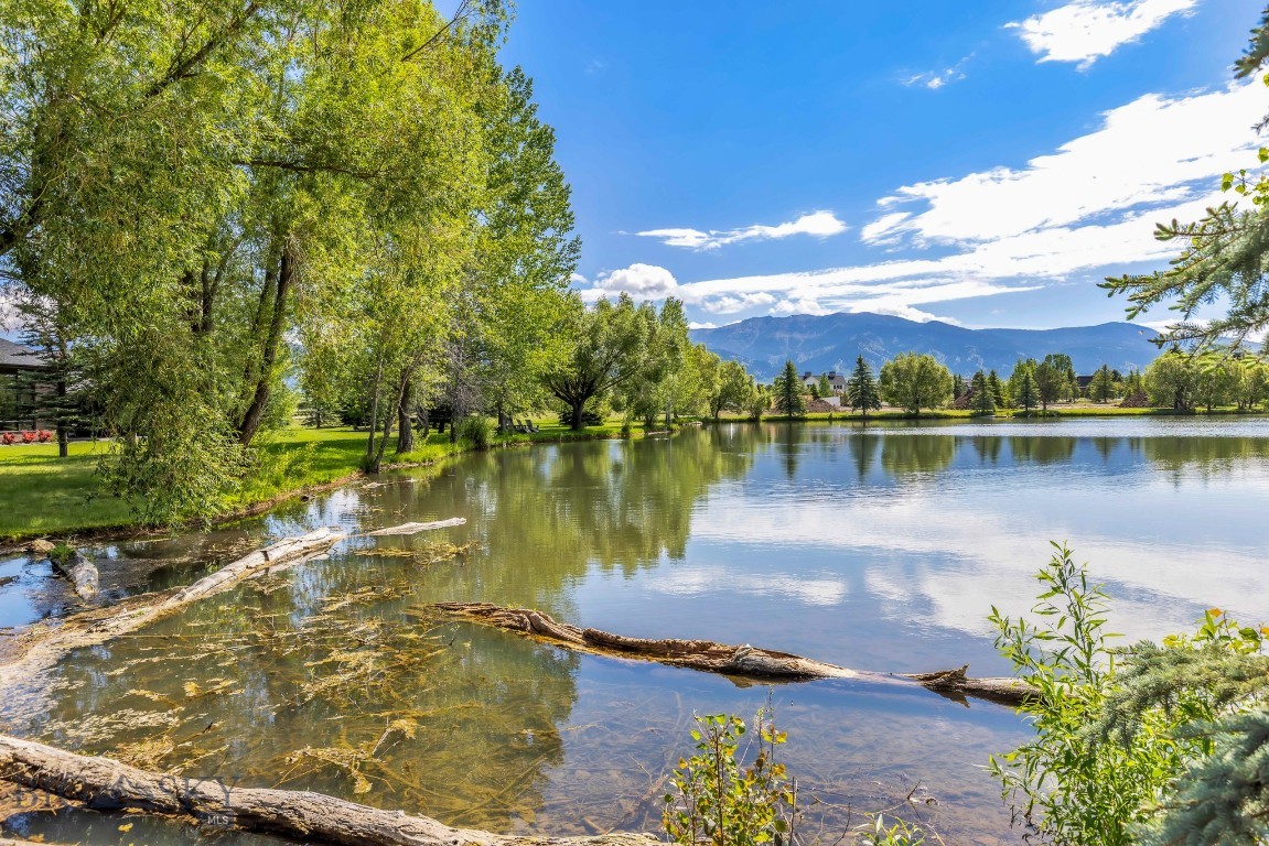 Tbd Bridger Lake Property Photo 25