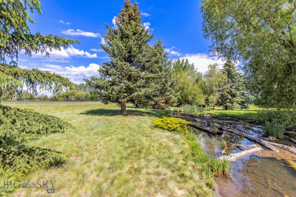 Tbd Bridger Lake Property Photo 26