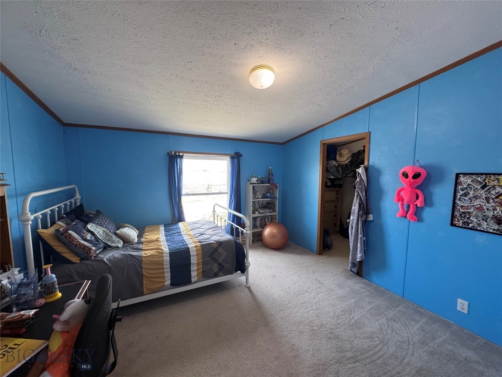 27 Cox Creek Lane Property Photo 35