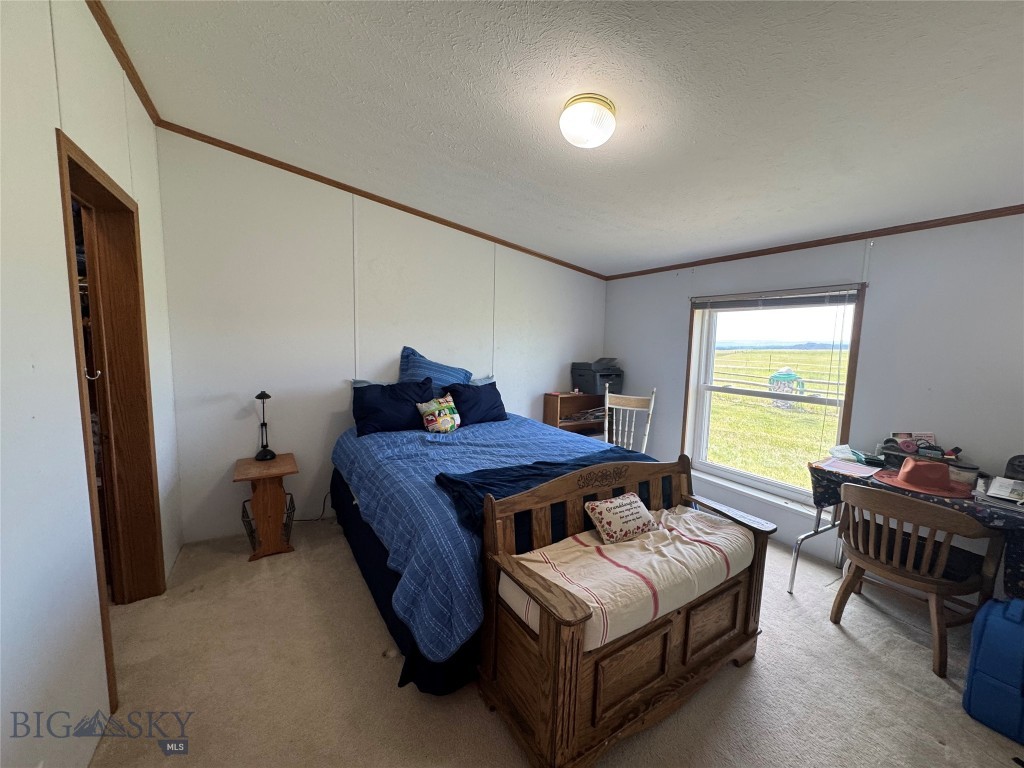 27 Cox Creek Lane Property Photo 36