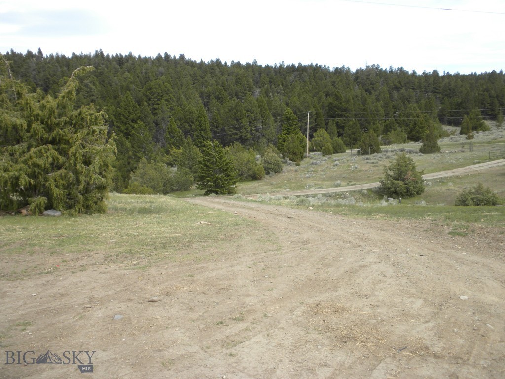 49 Cedar Crest Property Photo 11