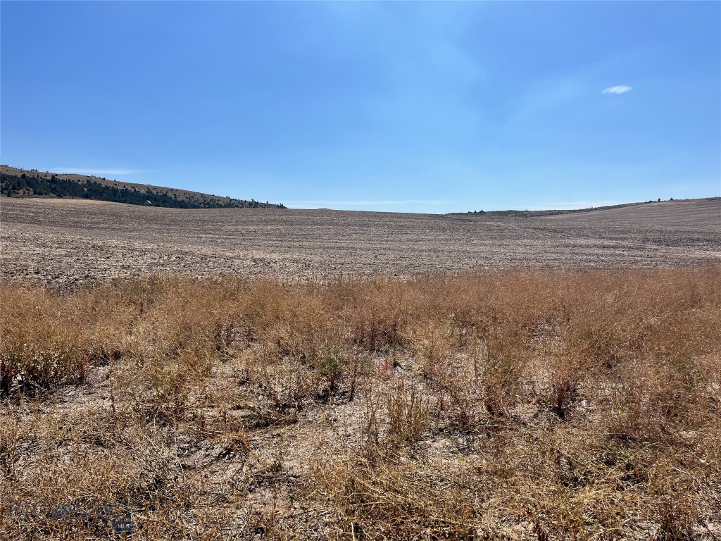 Tbd Homestead Rd Property Photo 8