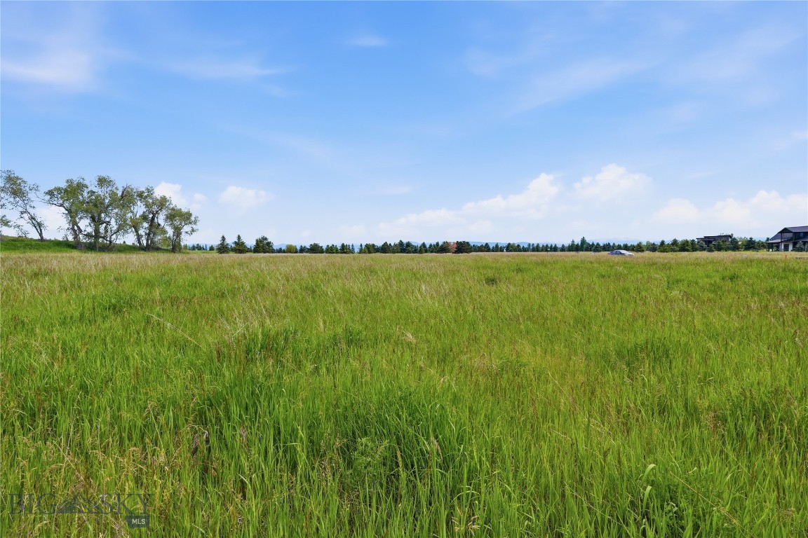Tbd Wavy Leaf Way Property Photo 3