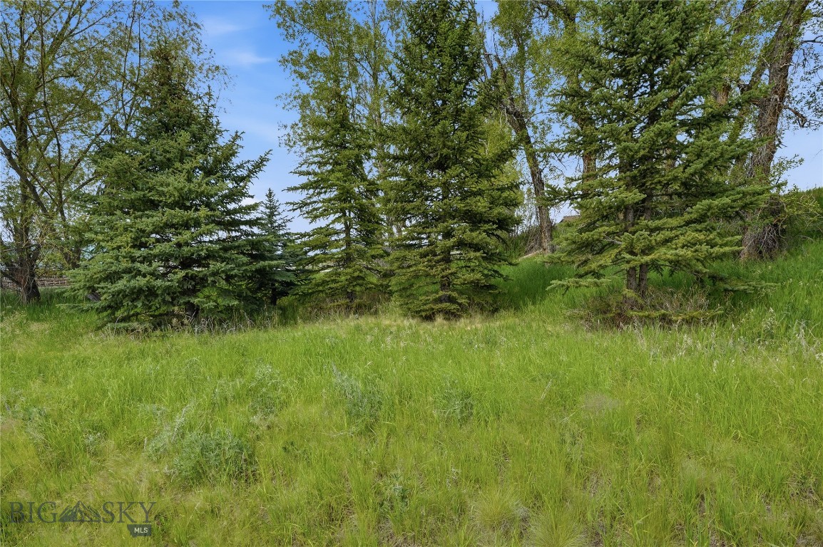 Tbd Wavy Leaf Way Property Photo 5