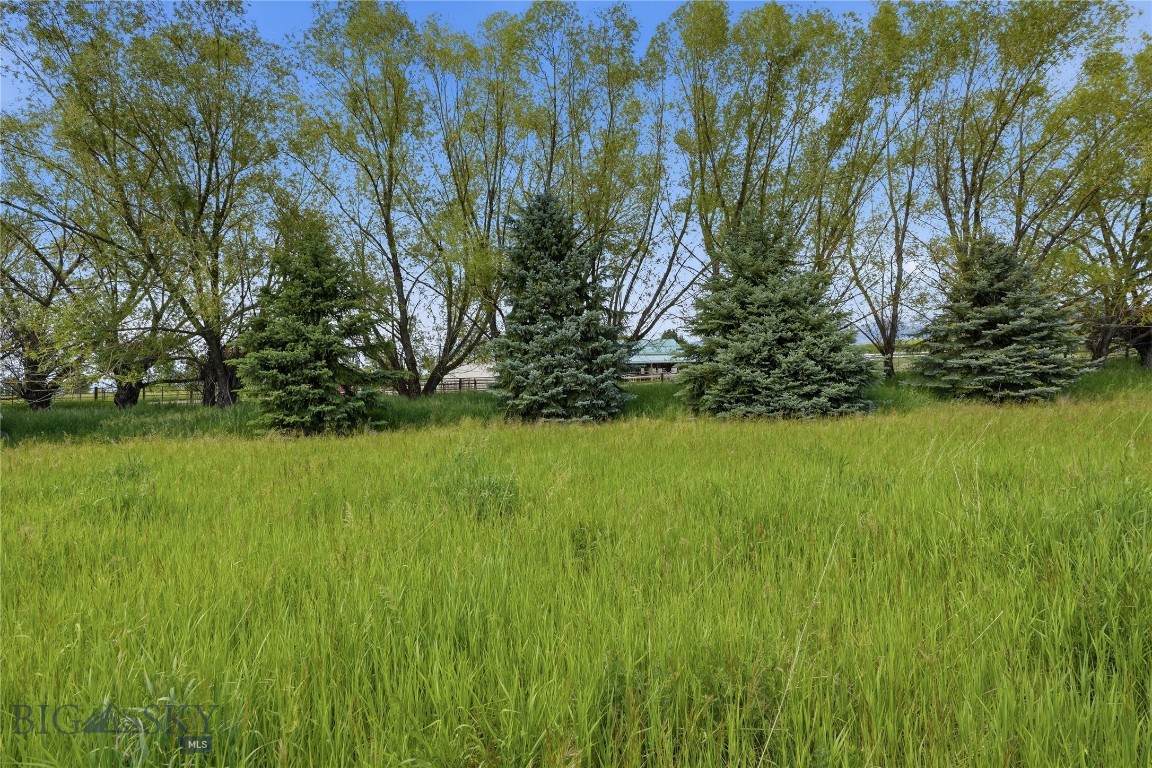 Tbd Wavy Leaf Way Property Photo 8