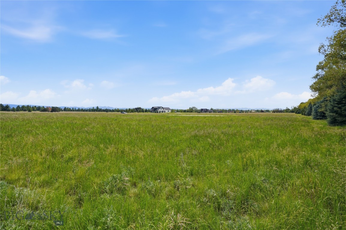 Tbd Wavy Leaf Way Property Photo 11