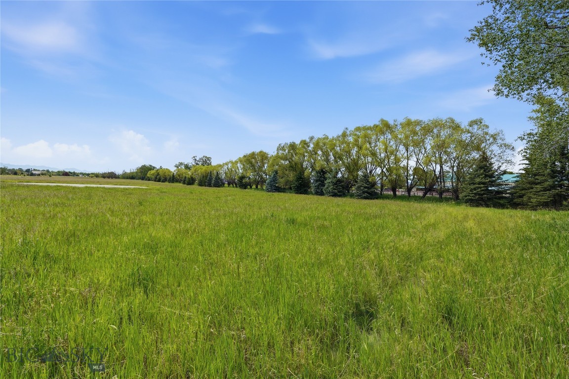 Tbd Wavy Leaf Way Property Photo 12