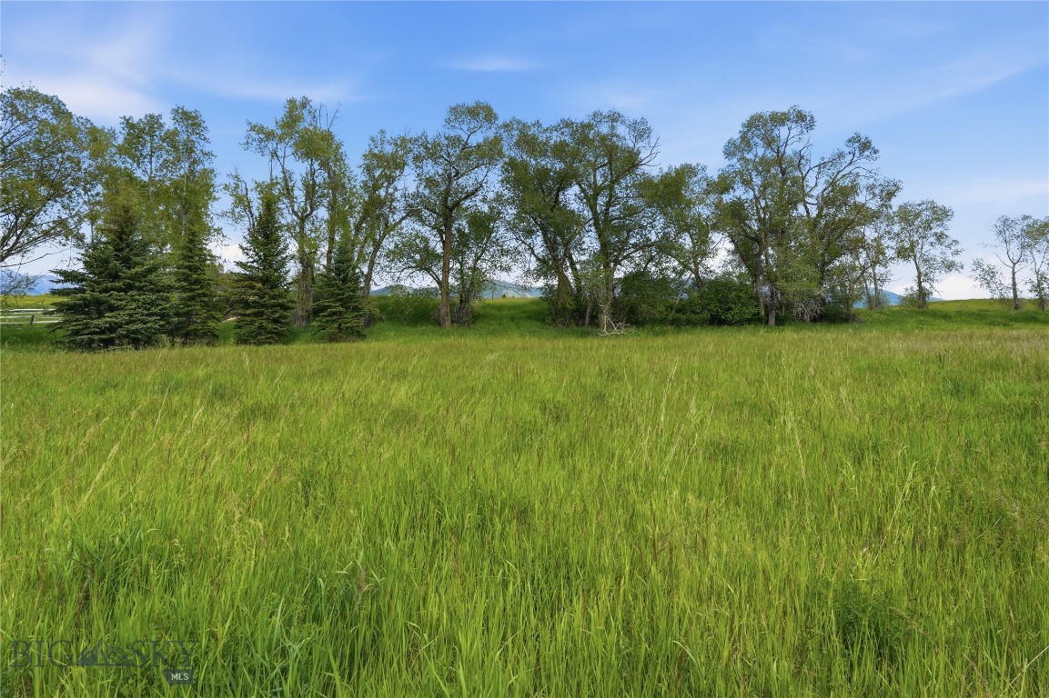 Tbd Wavy Leaf Way Property Photo 13