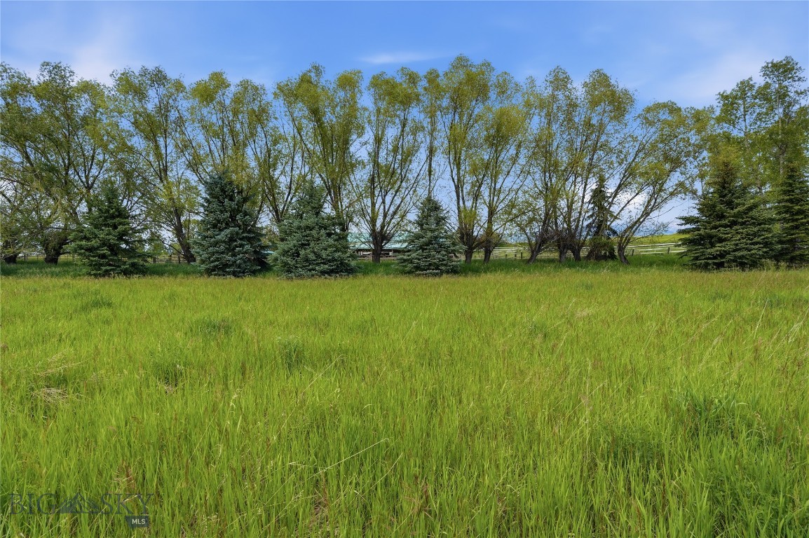 Tbd Wavy Leaf Way Property Photo 14