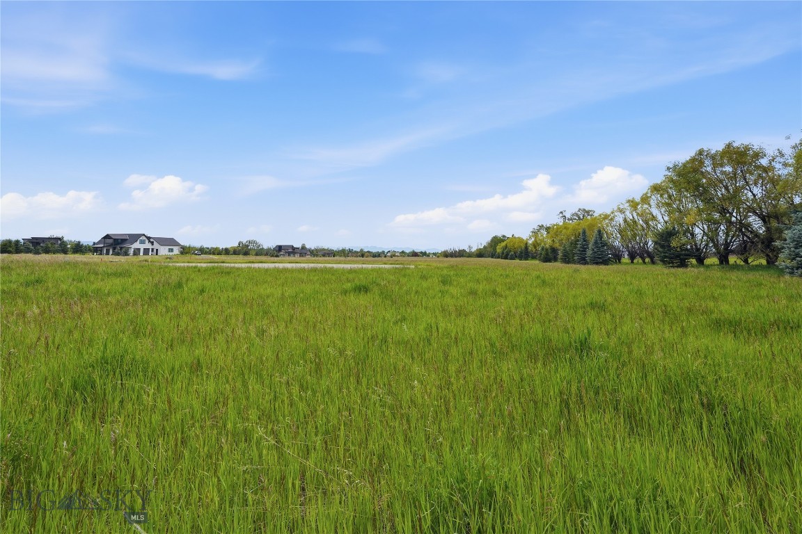 Tbd Wavy Leaf Way Property Photo 15