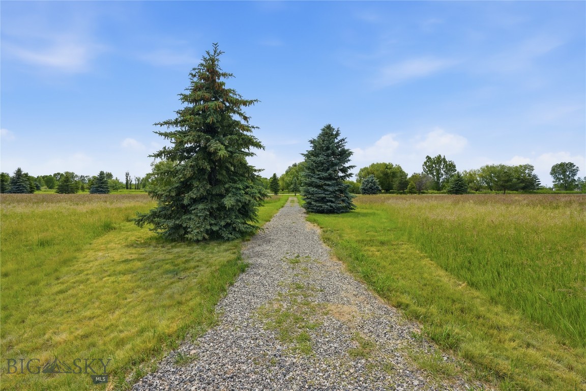 Tbd Wavy Leaf Way Property Photo 16