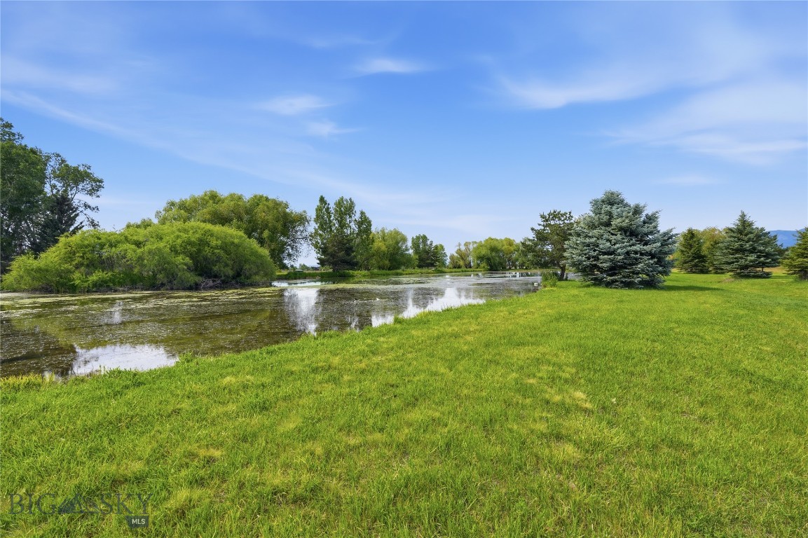 Tbd Wavy Leaf Way Property Photo 20