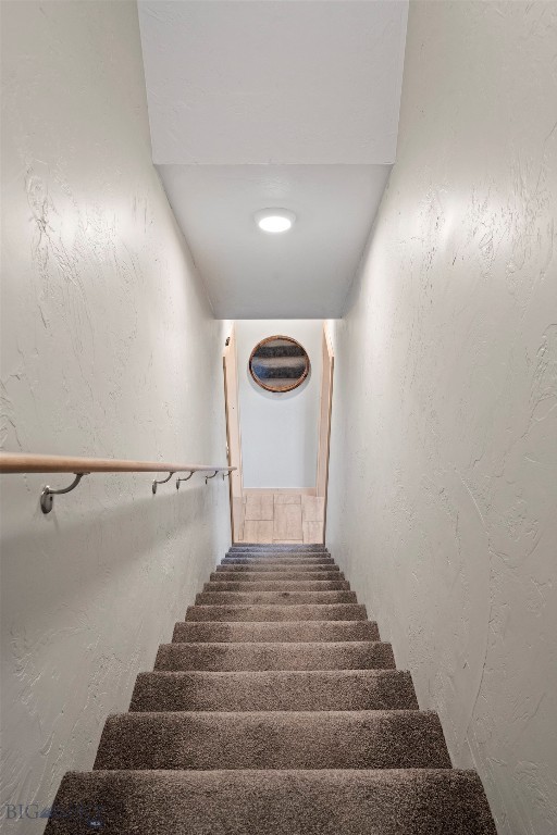 52 Arcturus Drive Property Photo 29