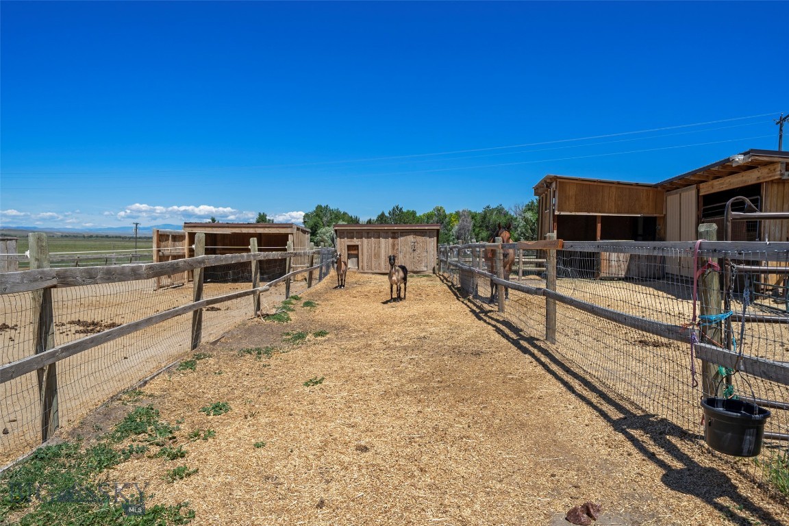 4625 Buffalo Jump Property Photo 42