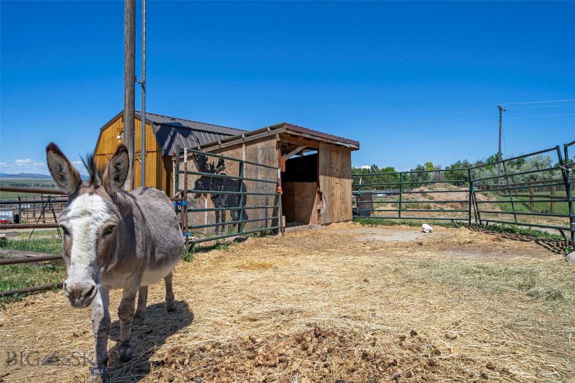4625 Buffalo Jump Property Photo 46