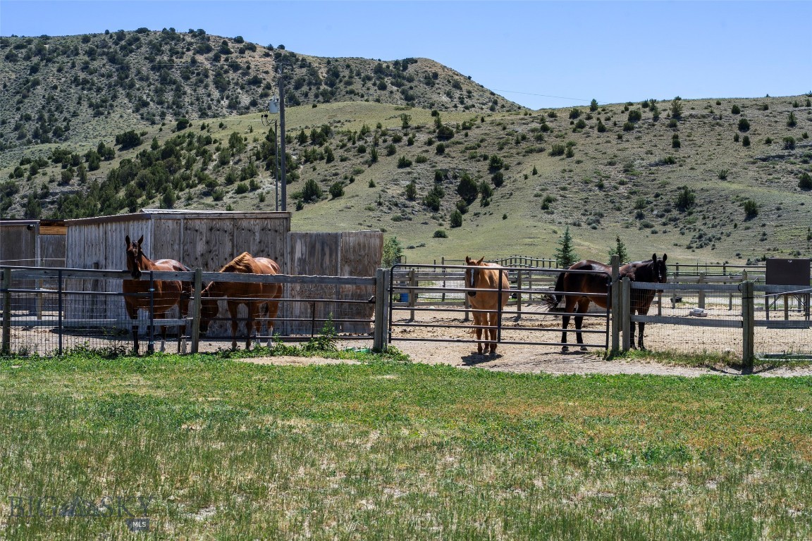 4625 Buffalo Jump Property Photo 62