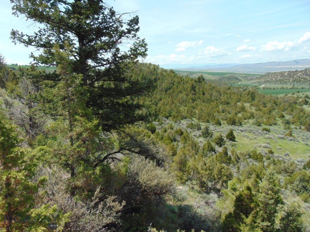 TBD Lone Wolf Trail Property Photo 1