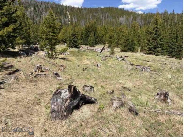 Nhn Corral Gulch Property Photo 18