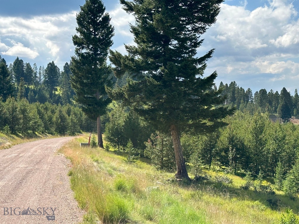 13 Discovery View Lane Property Photo 15