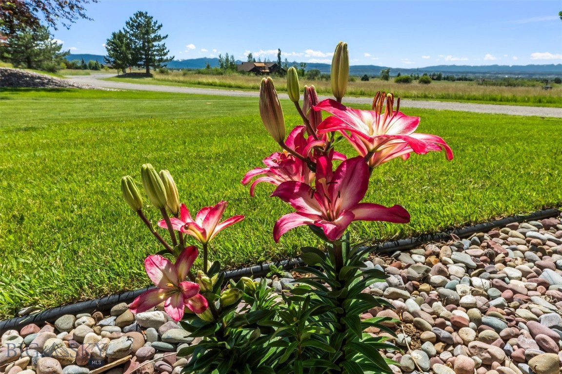 47 Saddle Spur Property Photo 15