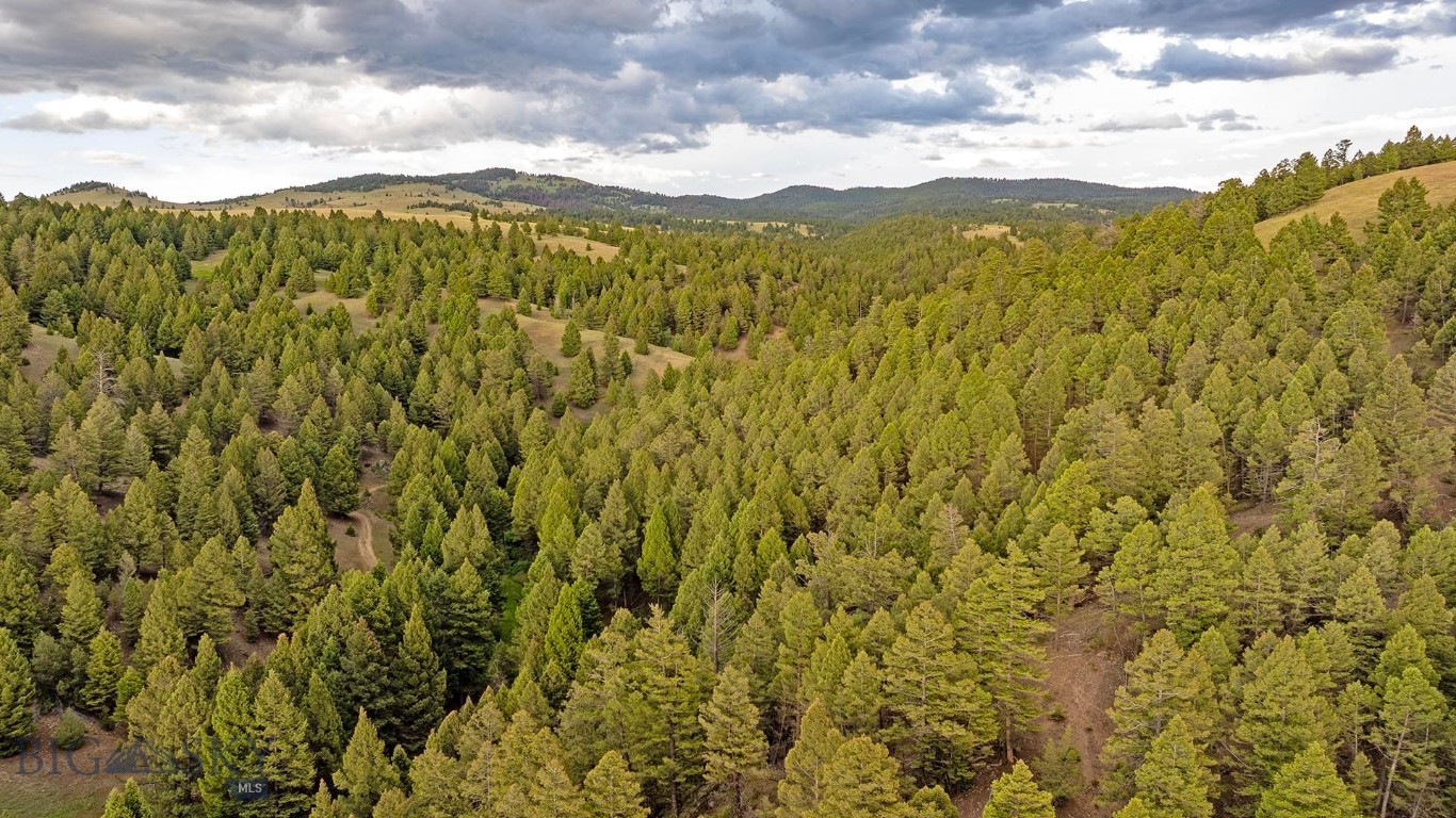 Tbd Perkins Gulch Road Property Photo 2