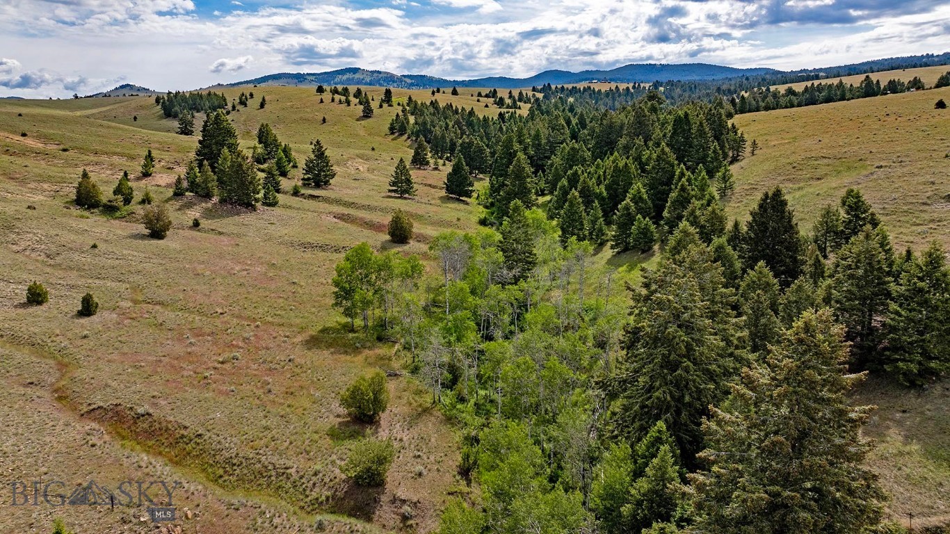Tbd Perkins Gulch Road Property Photo 5