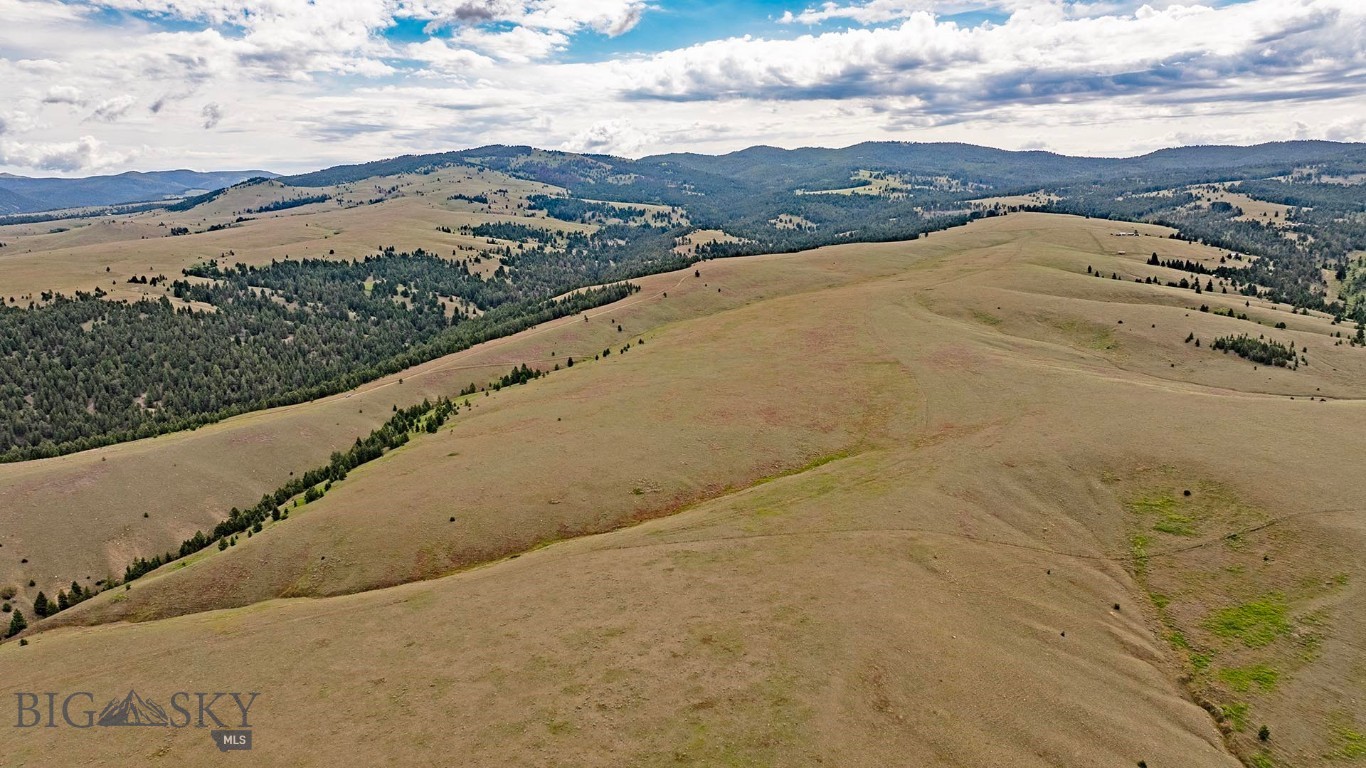 Tbd Perkins Gulch Road Property Photo 6
