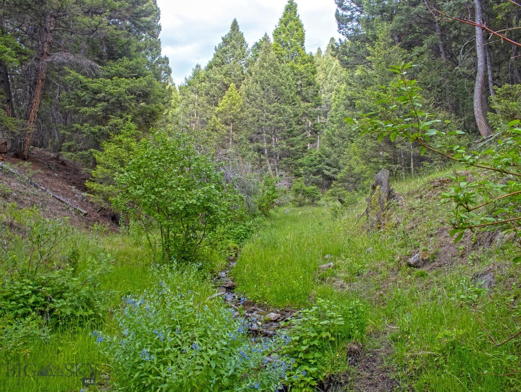 Tbd Perkins Gulch Road Property Photo 7