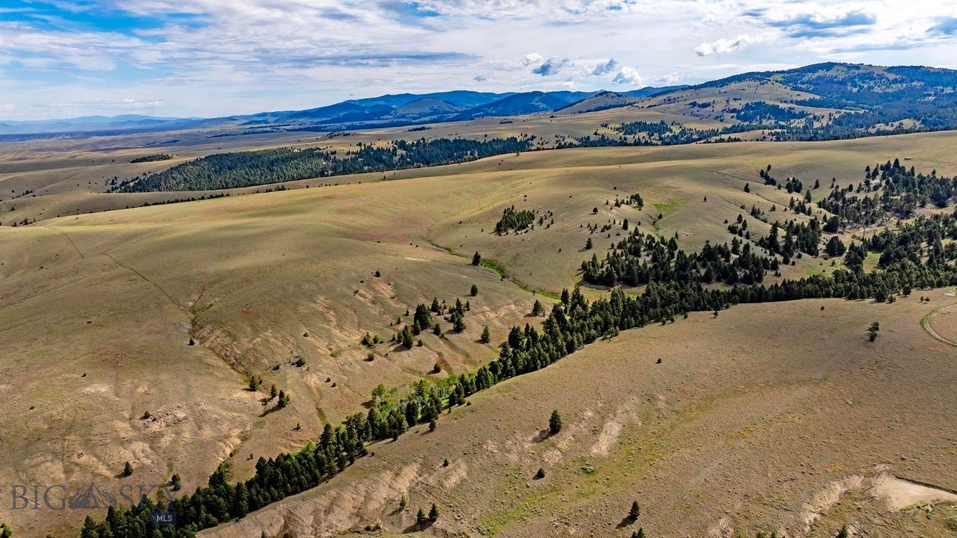 Tbd Perkins Gulch Road Property Photo 13
