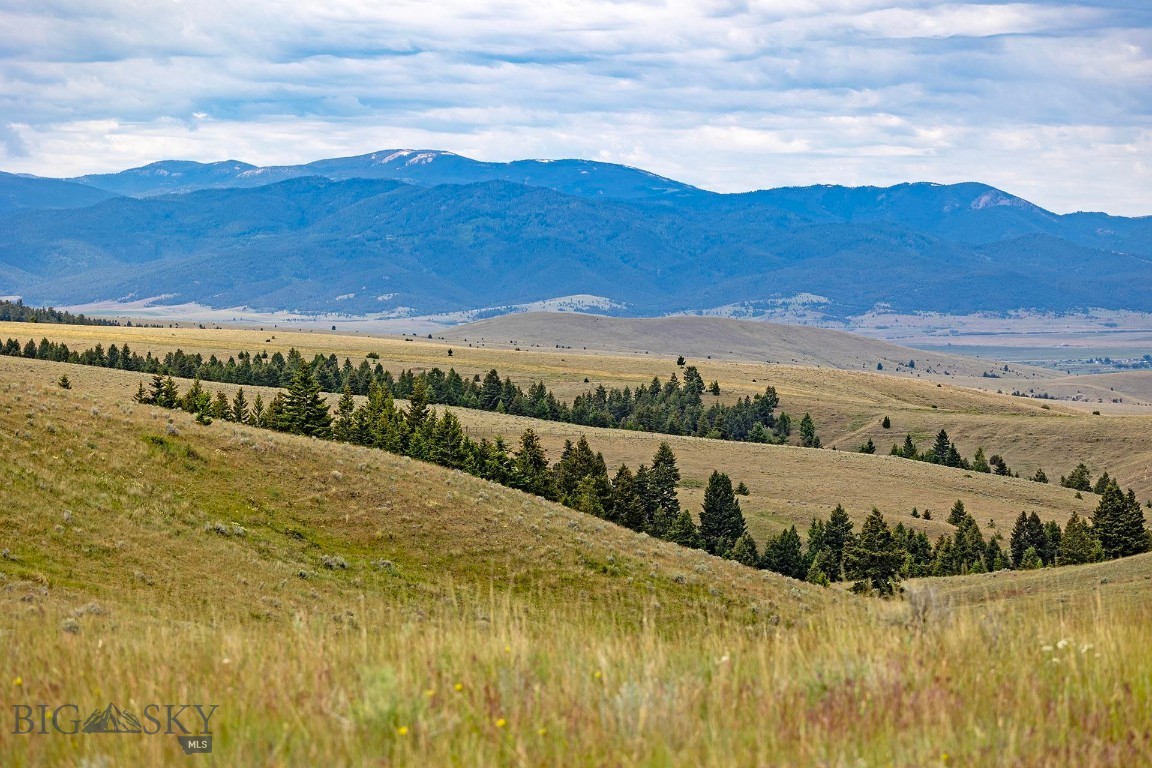 Tbd Perkins Gulch Road Property Photo 16