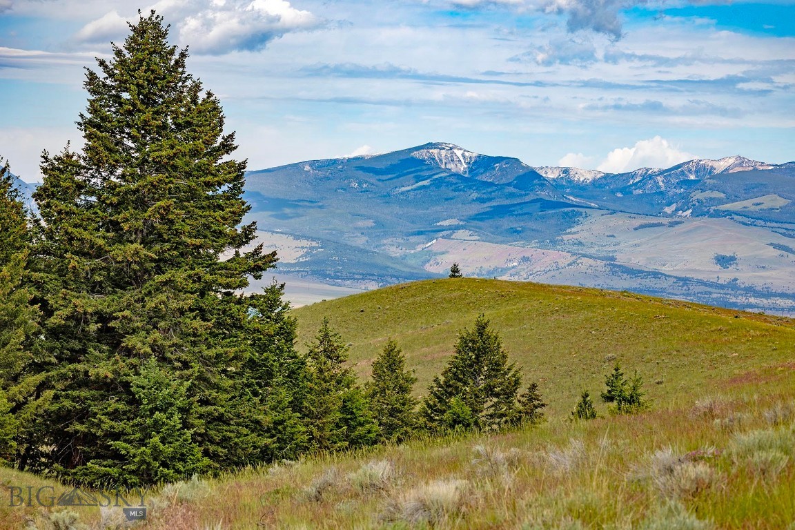 Tbd Perkins Gulch Road Property Photo 26