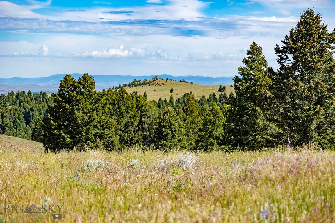 Tbd Perkins Gulch Road Property Photo 29