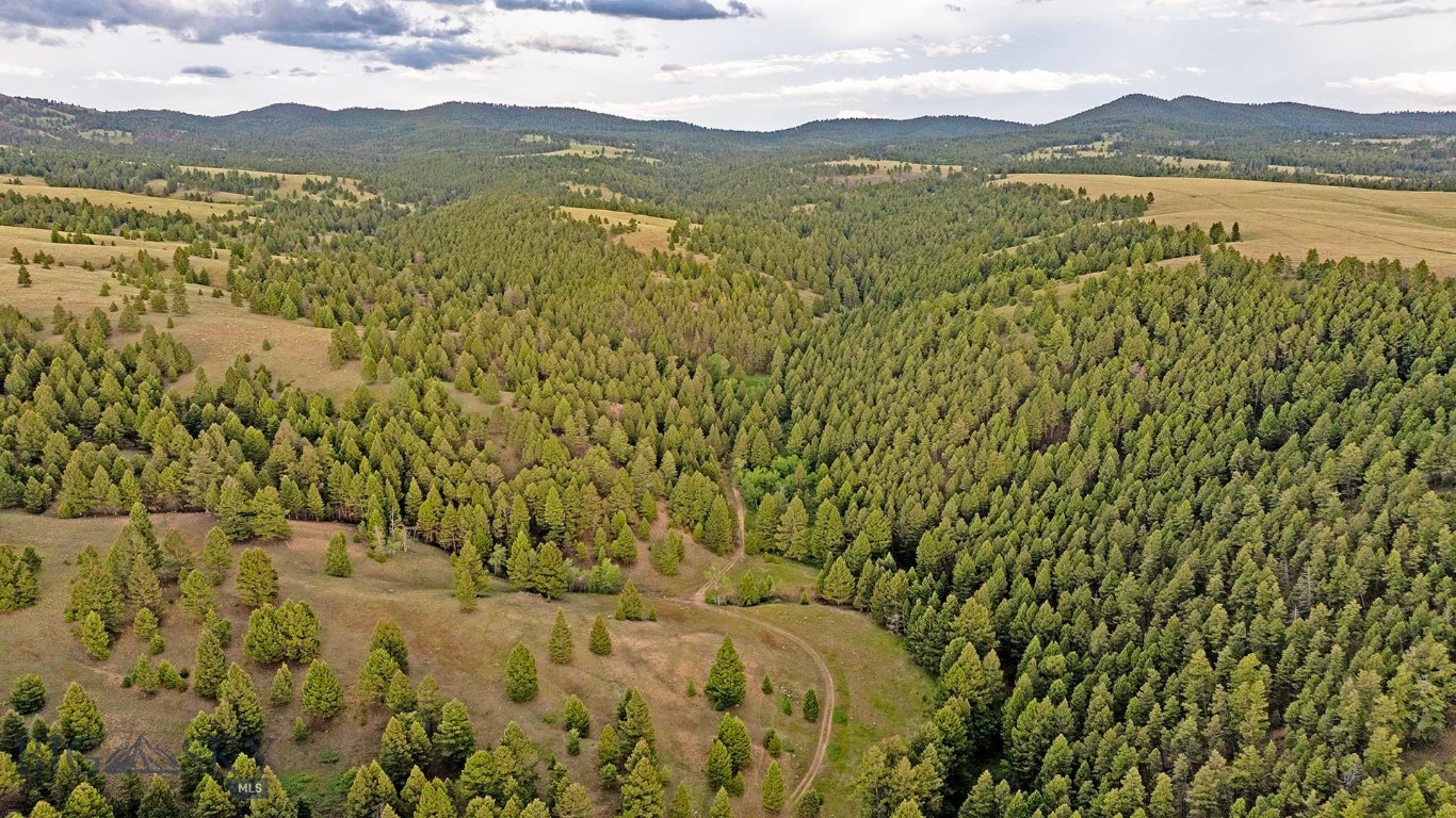 Tbd Perkins Gulch Road Property Photo 30