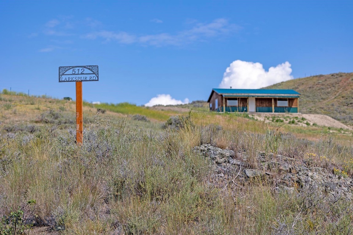 17 Larkspur