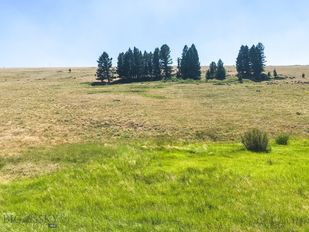 412783 Property Photo 5