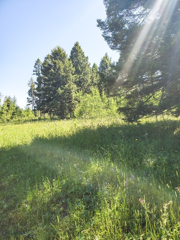 412783 Property Photo 20