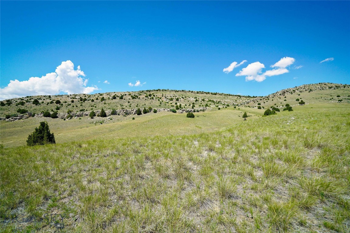 Lot 39 Gallatin River Ranch Property Photo 7
