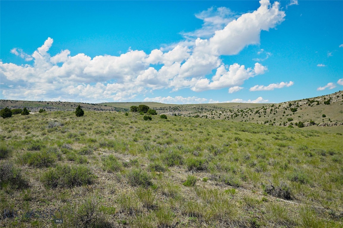 Lot 39 Gallatin River Ranch Property Photo 21
