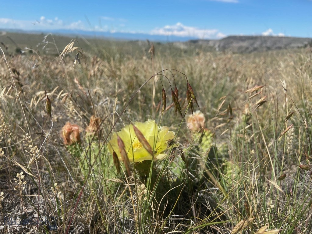 Lot 39 Gallatin River Ranch Property Photo 29