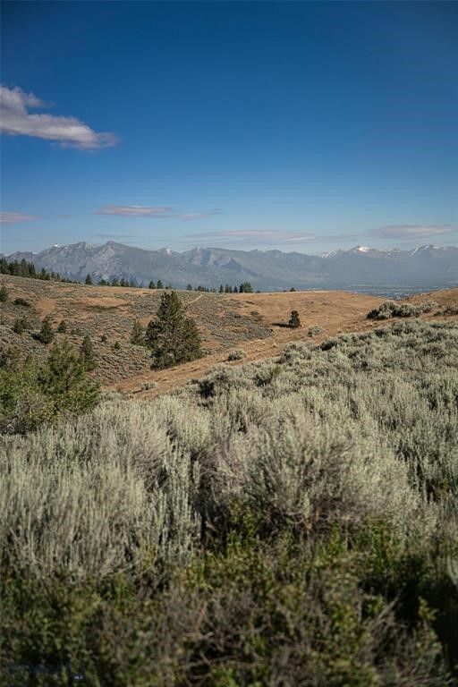 412802 Property Photo 87